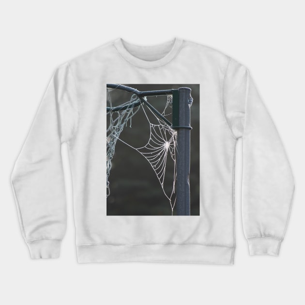 Frosty cobweb Crewneck Sweatshirt by GrahamPrentice